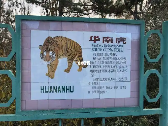 22  感人 北京动物园的解说牌是手写的!2022.12.