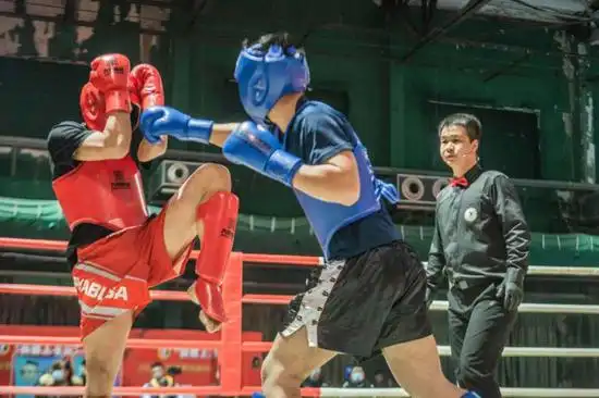 2020年陕西省自由搏击锦标赛圆满落幕