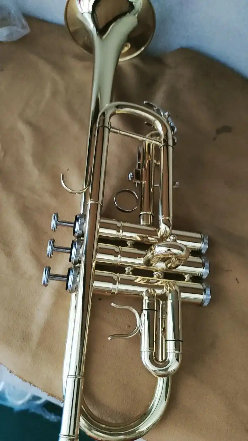 西洋乐器厂家在抖音记录美好生活20230620 - 抖音