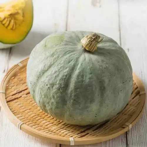 新疆银栗丑南瓜