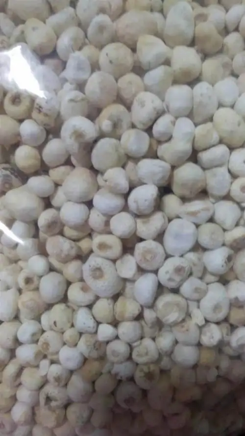 生半夏多少钱一斤