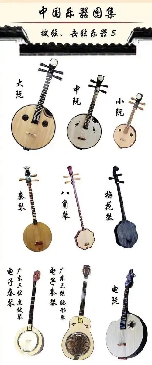 带郊区鹅一起认识中国拨弦乐器图集