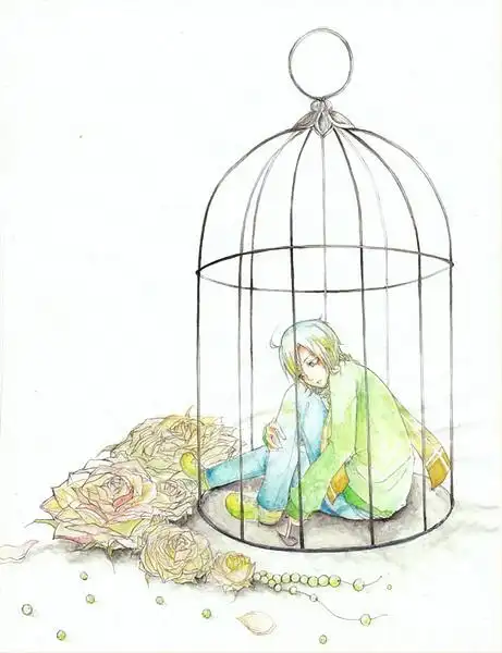 我爱的插画家网站