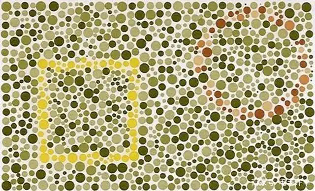 2,在体检的时候会被认为是色盲