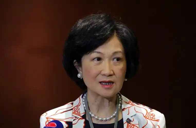 立法会议员 叶刘淑仪/大公报记者 麦润田  摄