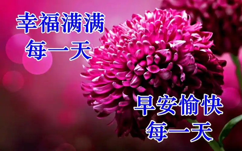 早上好问候美图早安问候语句