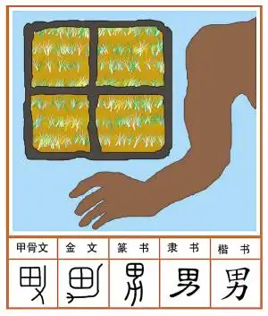 男--北方网-新闻中心