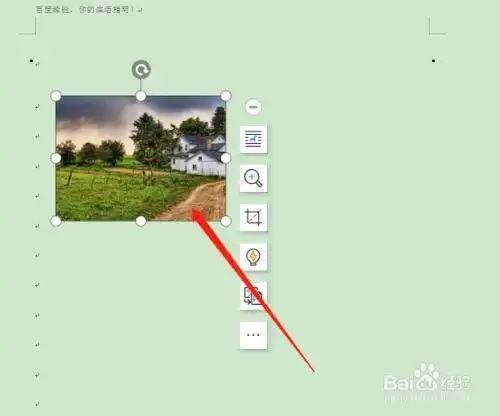 word复制粘贴的图片显示不全