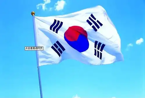 韩国国旗