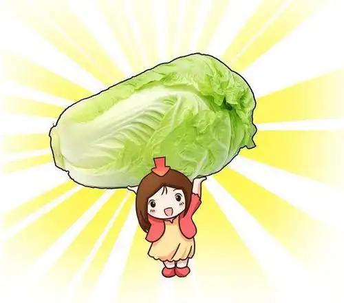 别被北方人囤白菜吓到,可能你忘了大白菜有多美好