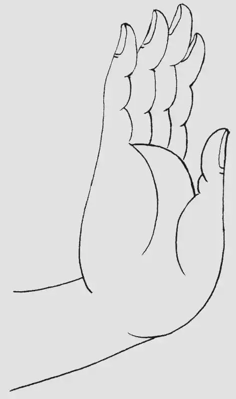 佛像|菩萨像|禅定|跏趺_网易订阅