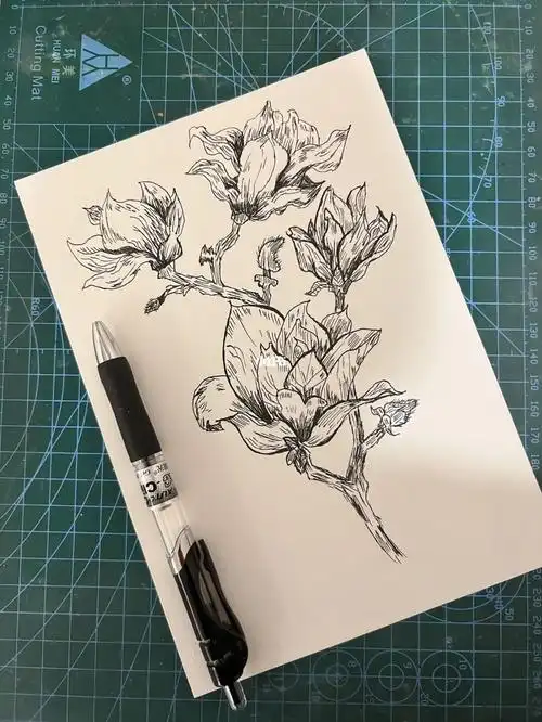 签字笔画画草草玉兰花