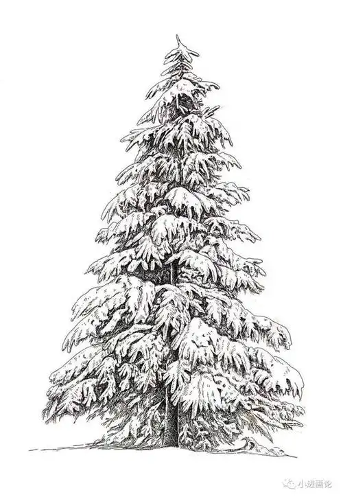 线描钢笔画教程|落雪的树