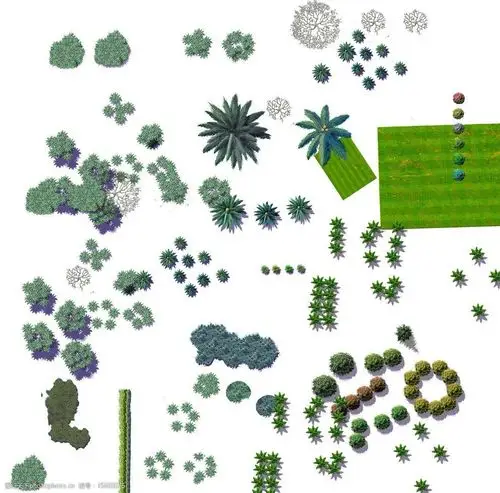 关键词:平面树 景观设计 园林 景观 彩平素材 psd分层素材 源文件 300