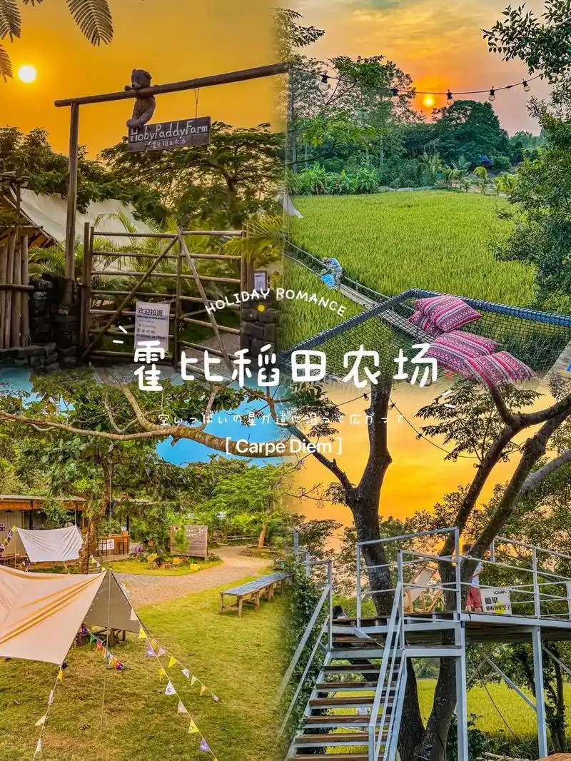 湛江拍照| 来霍比稻田农场看一场日落92.市区自驾过来半个小 - 抖音