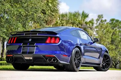2015 ford mustang shelby gt350 shelby gt350 track package