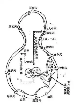 这轨道的规律,是循着二十部脉道的经络路线,流注运行的.