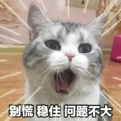 tatan)_tatan_小胖_印尼_这里表情棒!