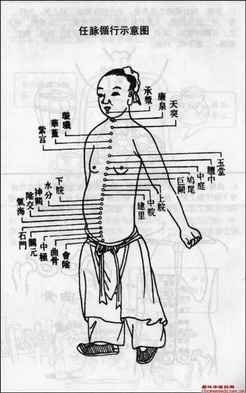 任脉循环示意图