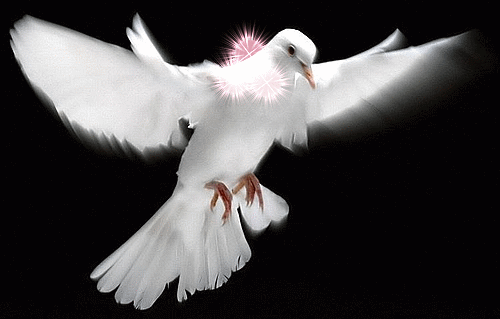 500_319gif 动态图 动图