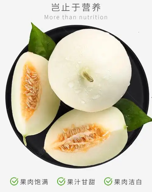 高糖白甜瓜种子超甜香瓜景甜208白糖罐传统农家水果农家四季播白山蜜