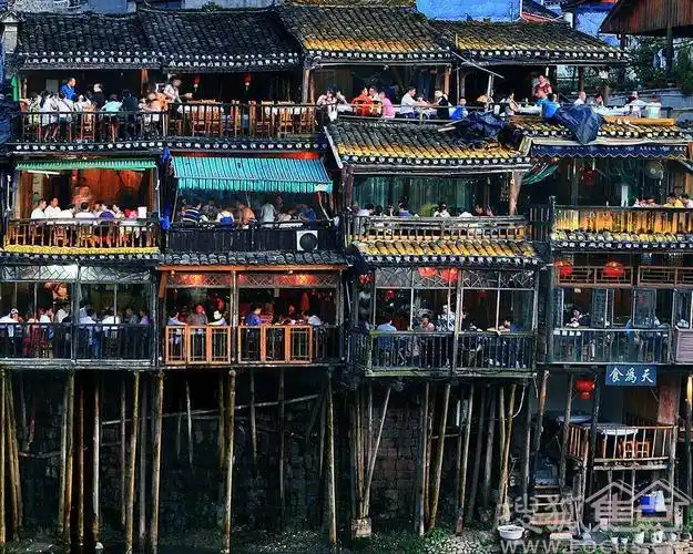 民族之花痛饮肝胆烈酒同赏悦耳水歌水族