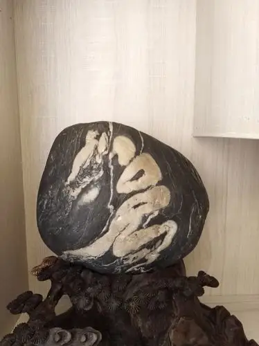 赏汉江奇石(文/李波)千姿百态守天然,造化生成露玉颜.赤裸献身谁懂我?