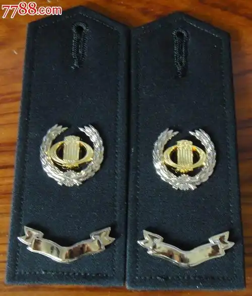 税务(金属标)硬肩章(硬2号)一副