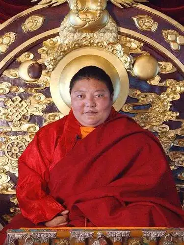 尊贵的五明佛学院现任 院长 门措空行仁波切 5回应