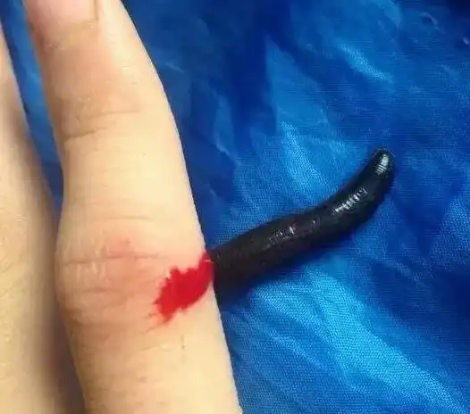 苗疆蛊虫有多吓人揭秘真实的养蛊人与下蛊方法防范手册