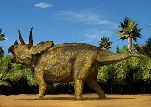 ">三角龙(属名:triceratops)鸟臀目角龙下目角龙科的草食性恐龙的一属