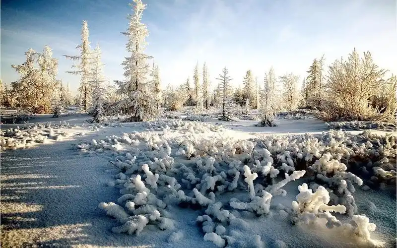 冬季雪景优美自然风景高清图片桌面壁纸