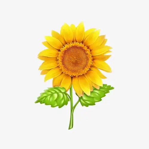 秋季卡通向日葵矢量图下载