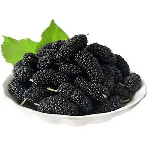 现摘现发新鲜桑葚2斤无沙免洗特级黑桑椹果时令孕妇水果非桑葚干