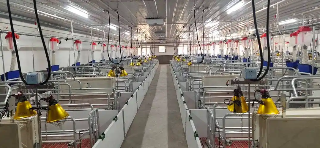 生猪养殖场建设标准_长度_猪舍_走道