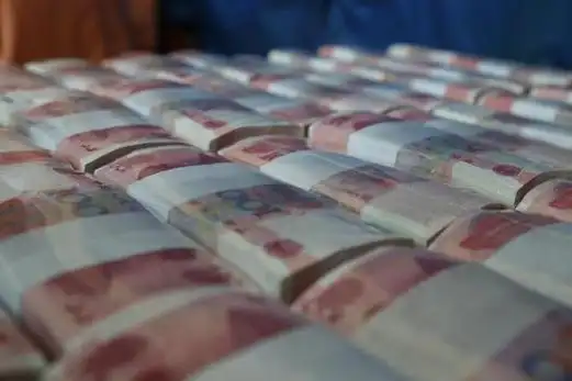 樊纲不应把美元升值解读为人民币贬值