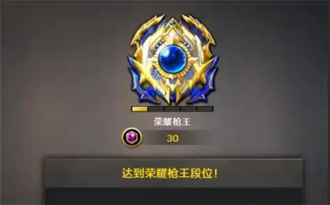 分别如下:新锐→精英→专家→大师→宗师→传奇→枪王→荣耀枪王→"