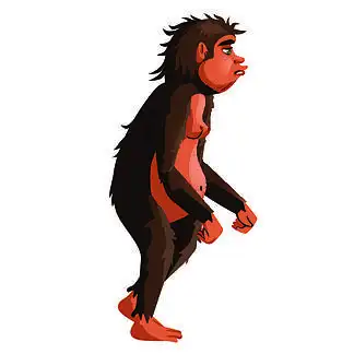 无尾巨 i>猿 /i>,灵长类动 i>物 /i>,达尔