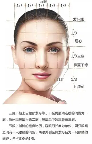 了一张人脸五官比例的参考图,仅供参考因为不是每个人都符合这个标准