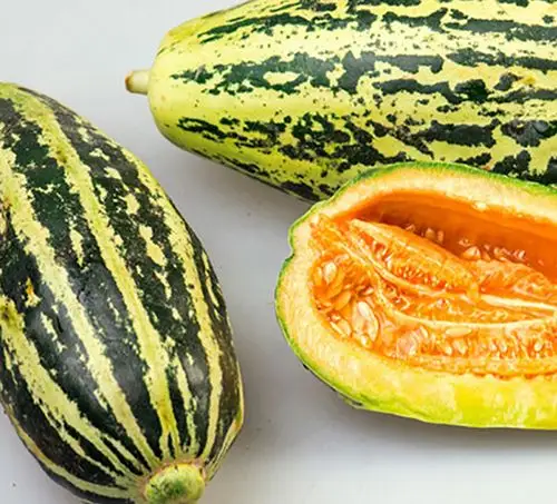 花皮牛角蜜甜瓜香瓜种子汁多甜度高水果庭院种植高产抗病甜瓜种孑