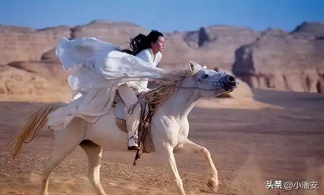 长大后才懂,金庸把最美的故事留在了《白马啸西风》里|金庸_新浪新闻