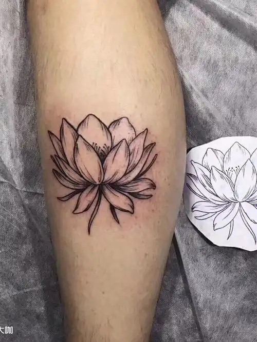 荷花_纹身图案手稿图片_搓搓的纹身作品集