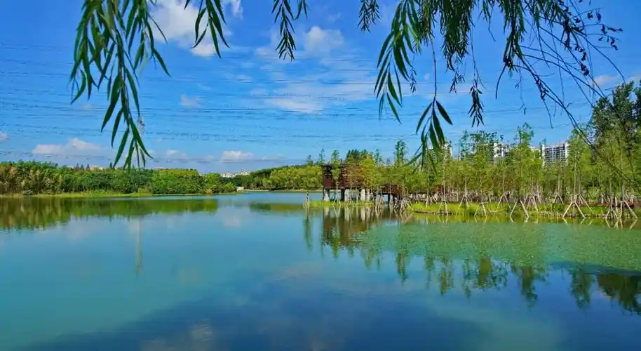 昆山森林公园20岁啦与君携手青山不老绿水无忧