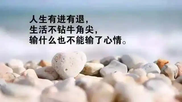 致自己的人生感悟经典句子句句在理不管多忙都要看