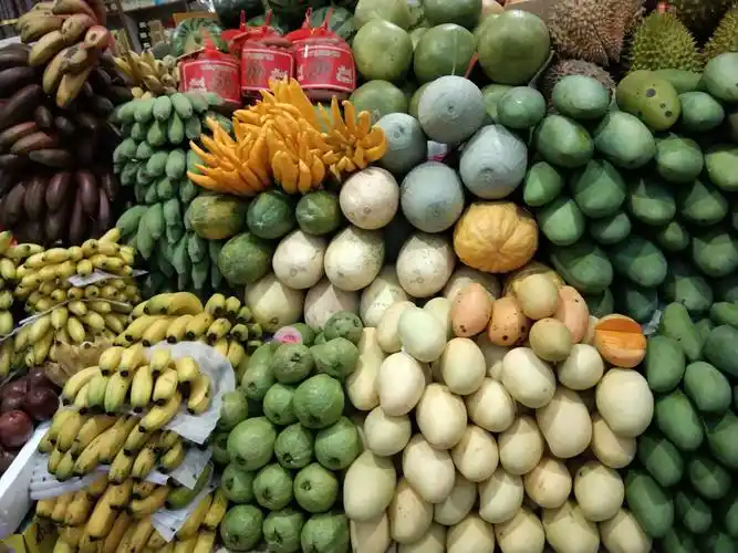 2018年12月26日西双版纳野象谷