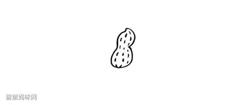 花生简笔画画法步骤