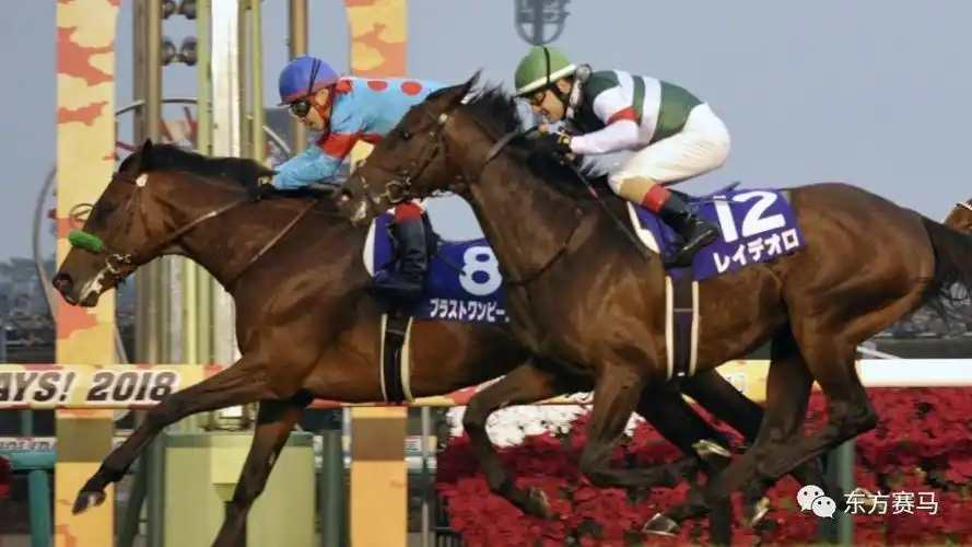 2018 | 全球纯血马一级赛月报(12月)
