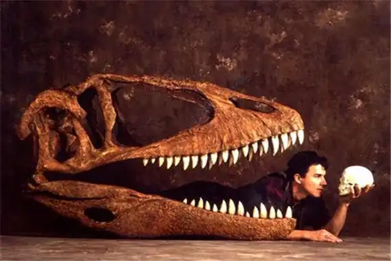 小掠龙:兽脚亚目下的一个属(属于脊索动物)