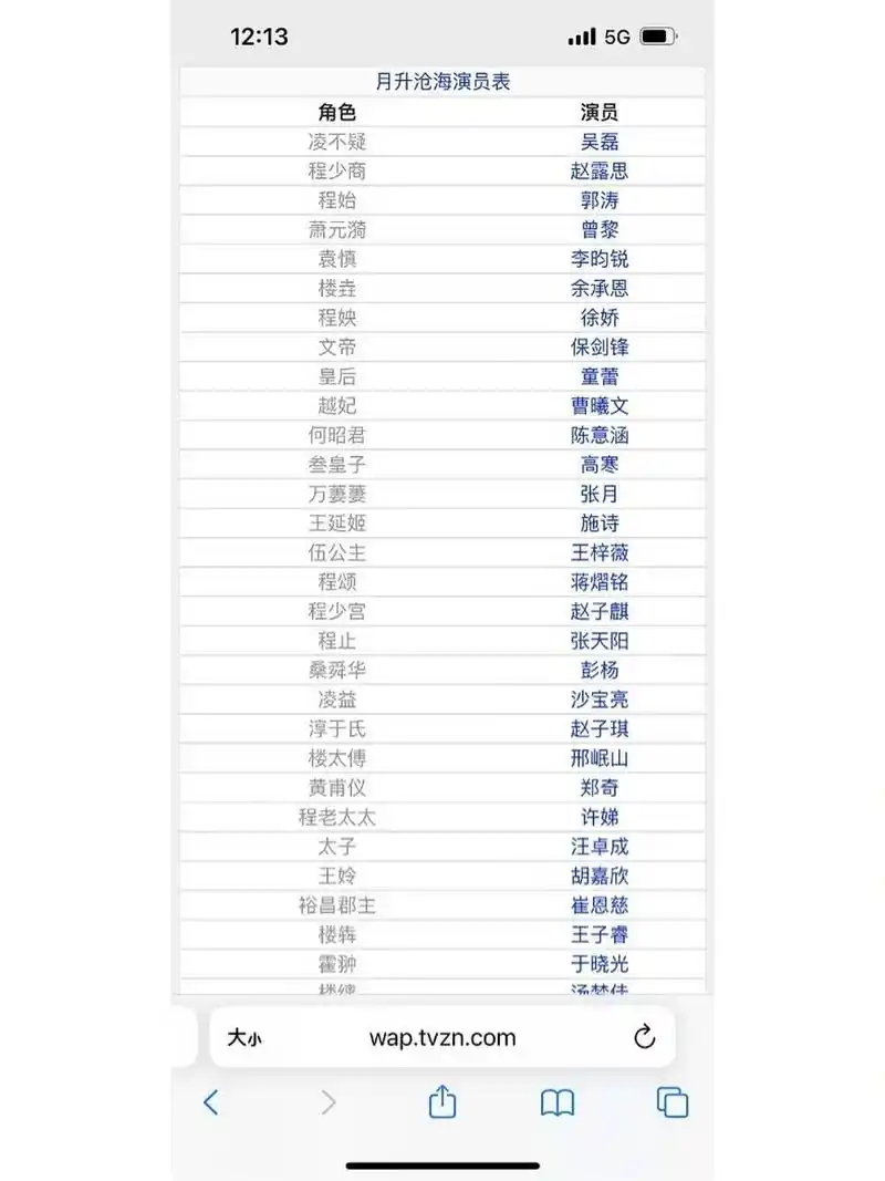 星汉灿烂月升沧海演员表