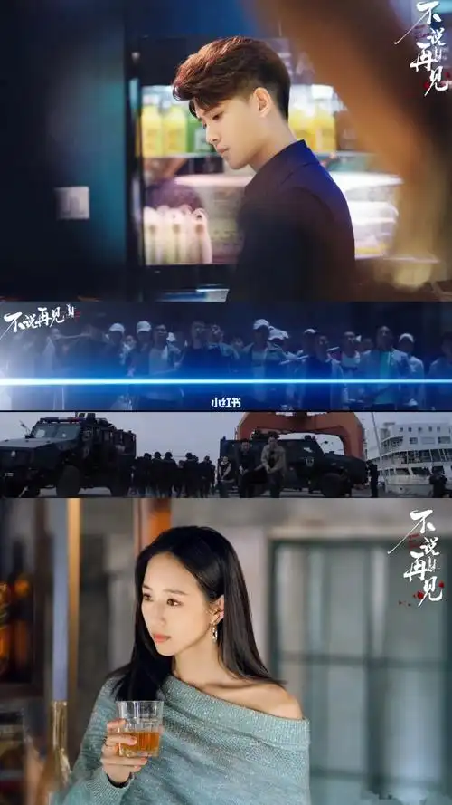 不说再见任嘉伦张钧甯